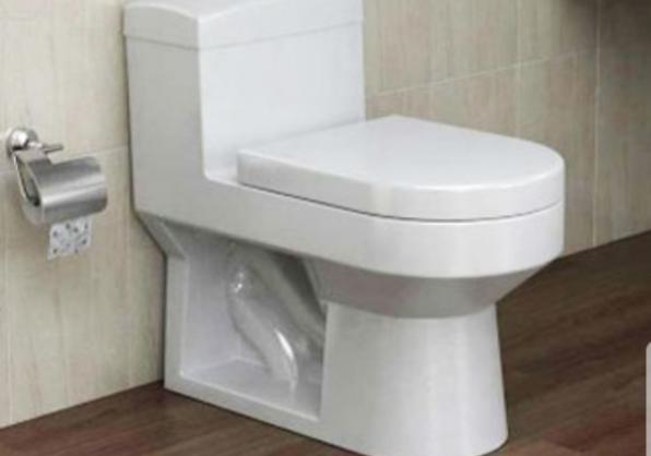 ارائه دهنده مدل های مختلف توالت فرنگی در پایتخت