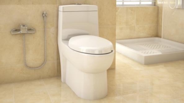 سایت ارائه توالت فرنگی مرغوب در بازار